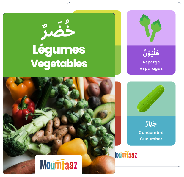 Apprendre arabe : Imagier mots arabe légumes