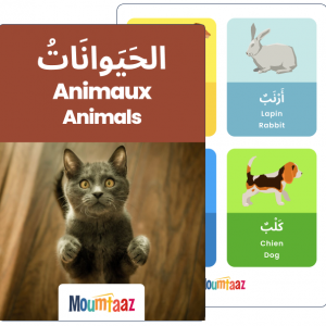 Apprendre arabe : Imagier arabe apprendre les animaux