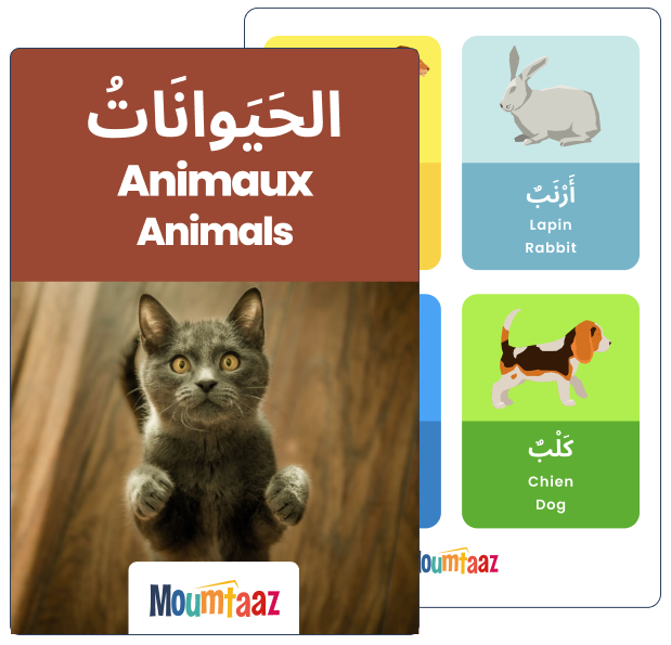 Apprendre arabe : Imagier arabe apprendre les animaux