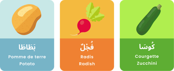 Apprendre l'arabe avec les imagiers colorés
